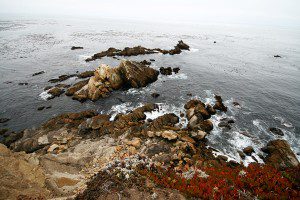 SonomaCoast SonomaCoast