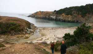 stumpbeach stumpbeach