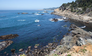 FiskMillCove