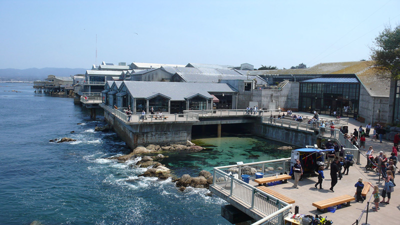 Monterey Bay Aquarium Looking For Underwater Explorers Instructor