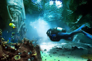 Reef Worlds Underwater Reef