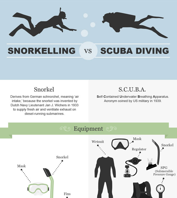 Infographic Scuba Diving Vs Snorkeling California Diver Magazine 