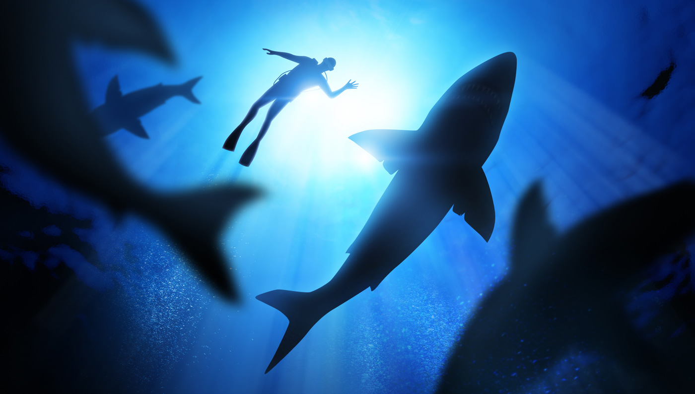 Total Number of Shark Attacks on Scuba Divers in 2015 Zero