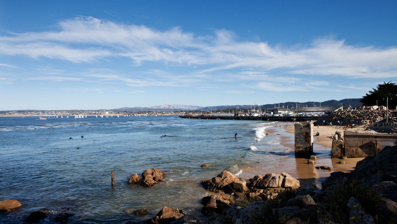 Monterey’s Breakwater: A great dive for any level | California Diver ...
