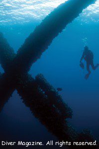 Beauty and the Beast on the High Seas – Scuba Diving California’s Oil ...