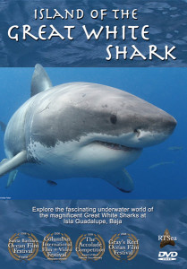 Island of the Great White Shark: Guadalupe (Credit: http://www.rtsea.com/info/island-of-the-great-white-shark)