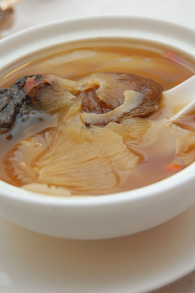A bowl of shark fin soup. Credit: Creative Commons.