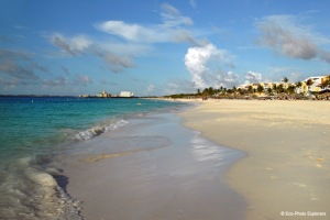 The beaches on Aruba are some of the best in the Caribbean