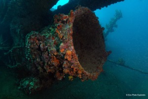 The Antilla wreck offers much wreckage to explore