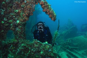Author Michael Salvarezza explores the wreck of the Antilla