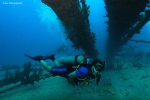 Divers exploring the wreck of the Antilla