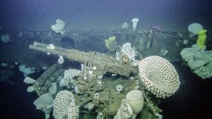 An antiaircraft gun surrounded by massive glass sponges on USS Independence. Photo: NOAA