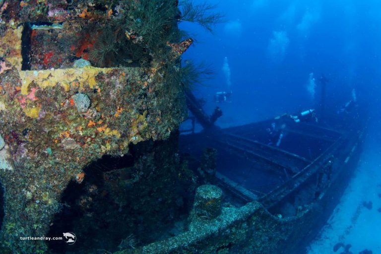 Diving Into History: Curacao’s Iconic SUPERIOR PRODUCER Shipwreck ...