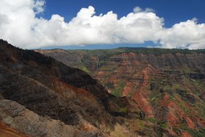 The interior of Kauai boasts forests, deserts and dramatic vistas
