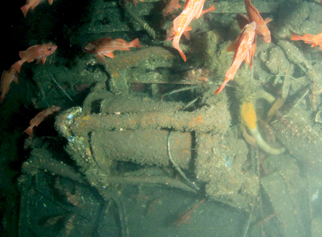 Documenting WWII History: Tech Divers Explore San Diego’s SBD Dauntless ...